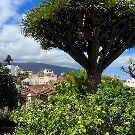 Tenerife Te Espera! Appartement Icod De Los Vinos